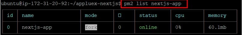 Revisar el proceso de Next.js corriendo en PM2