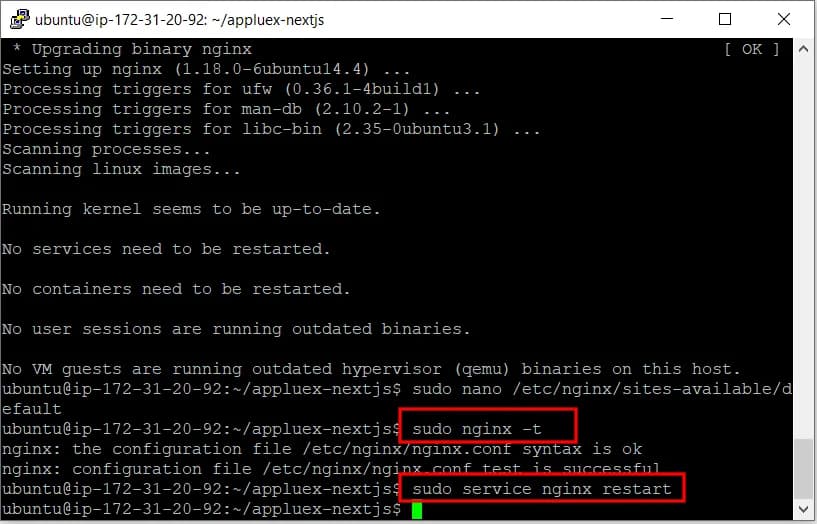 Probar y reiniciar Nginx