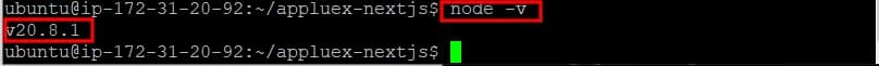 Verificar la versión instalada de Node.js
