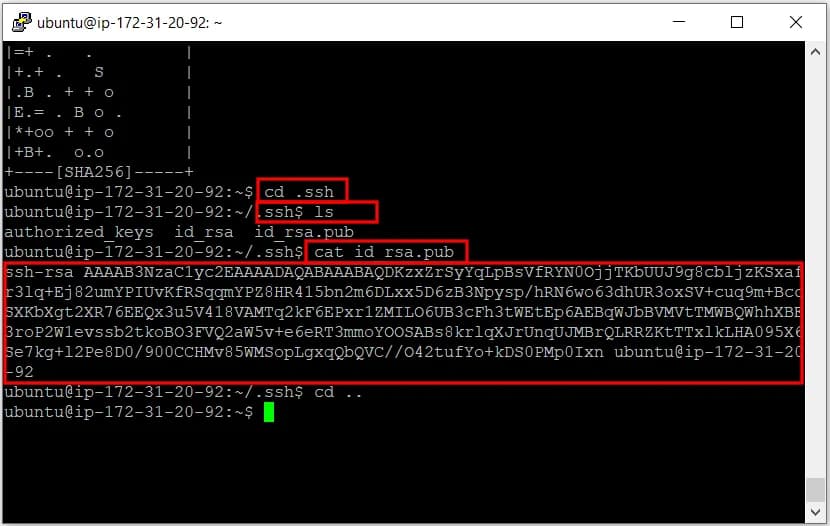 Imprimir la llave SSH pública con cat